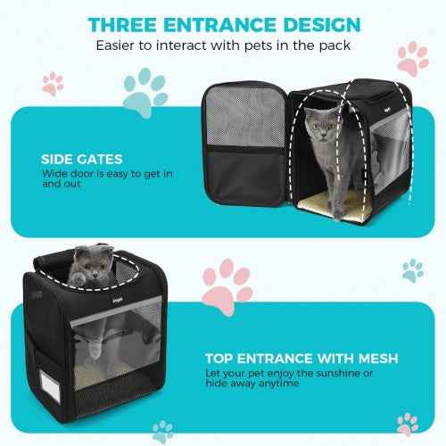 The Clever Lightweight Fold-Flat Pet Backpack