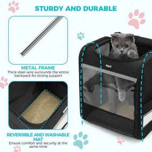 The Clever Lightweight Fold-Flat Pet Backpack